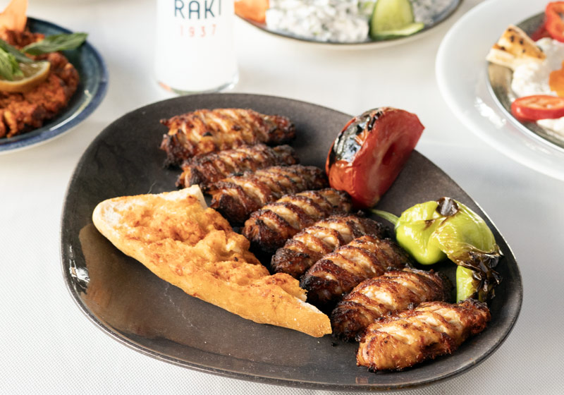 Köz Kanat Çekmeköy